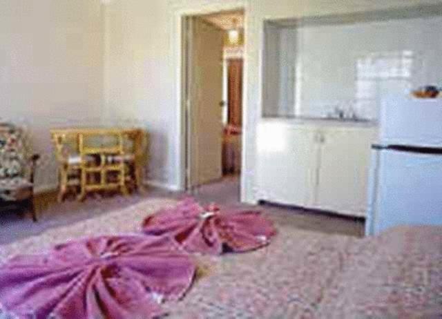 ينابيع أليس White Gum Motel الغرفة الصورة
